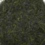 Japan Shizuoka Tenryu PREMIUM SENCHA (Yabukita)