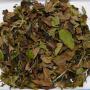 China Yunnan Simao YUE GUANG MEI REN (MOON LIGHT BEAUTY) Mountain White Tea (CZ-BIO-004)