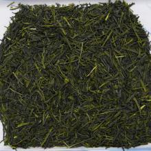 Detailn� obr�zek