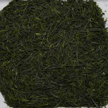 Detailn� obr�zek