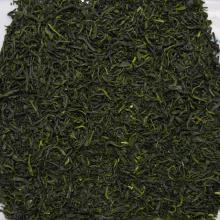 Detailn� obr�zek