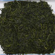 Detailn� obr�zek